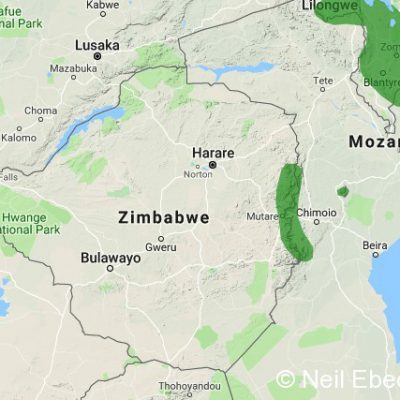 (ref: http://datazone.birdlife.org)