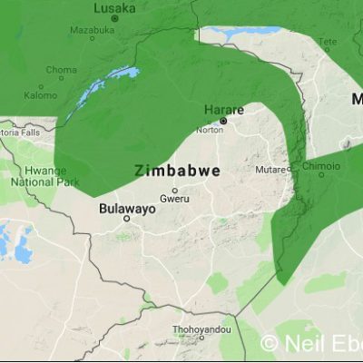 (ref: http://datazone.birdlife.org)