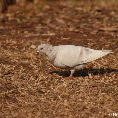 Zwartkop Country Club, 24 September 2019