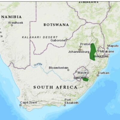 (Ref: http://datazone.birdlife.org)