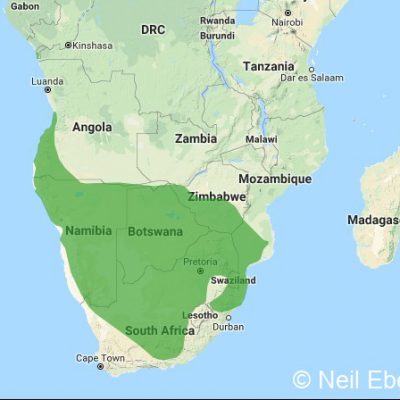 (ref: http://datazone.birdlife.org)