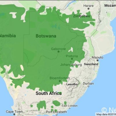 (ref: http://datazone.birdlife.org)