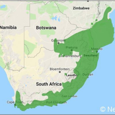 (ref: http://datazone.birdlife.org)