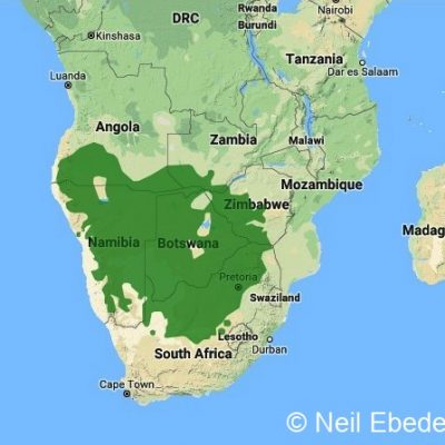 (ref: http://datazone.birdlife.org)