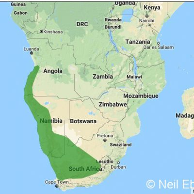 (ref: http://datazone.birdlife.org)