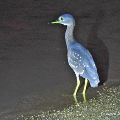 Skukuza camp, Kruger National Park - March 2023
