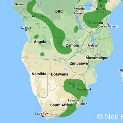 (ref: http://datazone.birdlife.org)