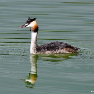Northern Farms, Gauteng - May 2011