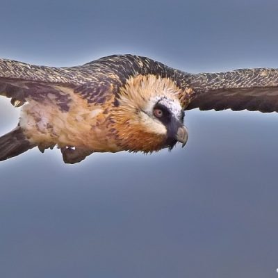 Giants Castle, KwaZulu-Natal - October 2015