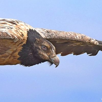 Giants Castle ,  October 2015