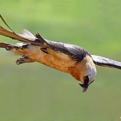 Giants Castle, KwaZulu-Natal - October 2015