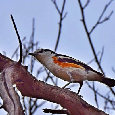 Vryburg,  North West Province - January 2016