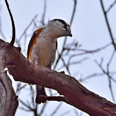 Vryburg,  North West Province - January 2016