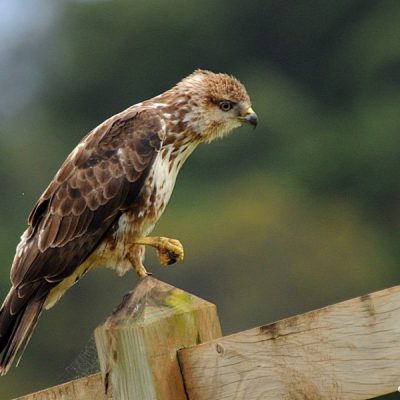 Plettenberg Bay – Dec 2014