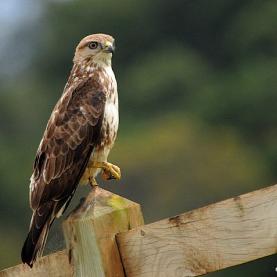 Plettenberg Bay – Dec 2014