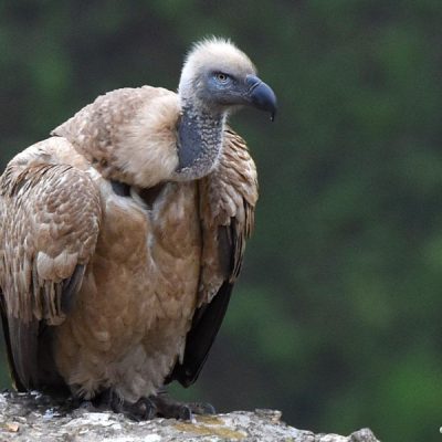 Giants Castle,  October 2015