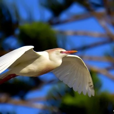 Plettenberg Bay, Oct 2016