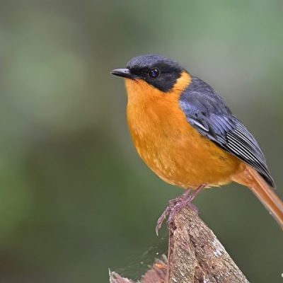 Natures Valley, Western Cape - October 2016