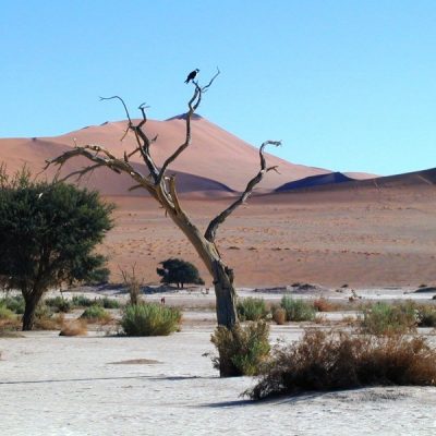 Namib - Nauklift Park,  Apr 2002