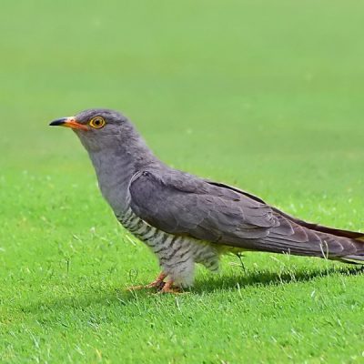 Kathu, Northern Cape - South Africa January 2016