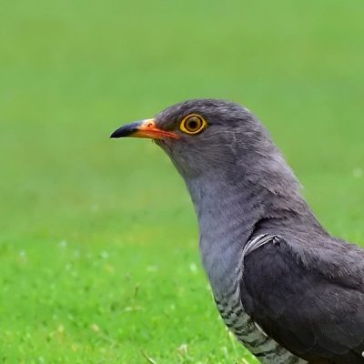 Kathu, Northern Cape - South Africa January 2016