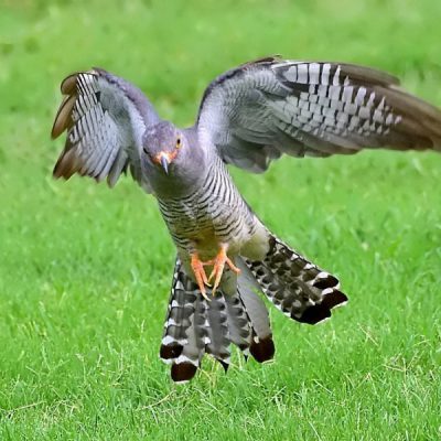 Kathu, Northern Cape - South Africa January 2016