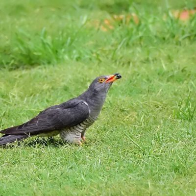 Kathu, Northern Cape - South Africa January 2016