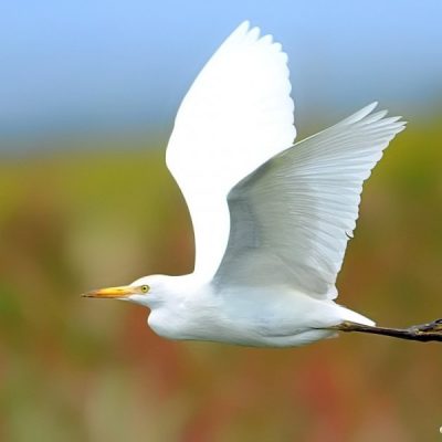 Mkhombo dam, April 2015