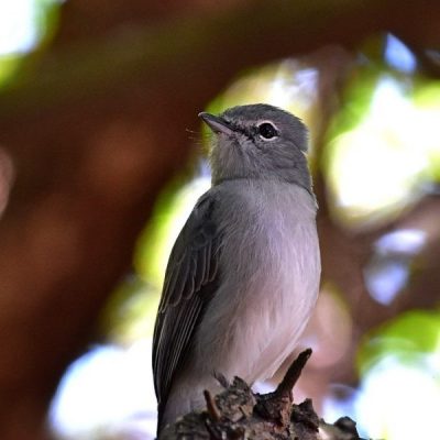 Caprivi House-boat Safari Lodge, 20 April 2016