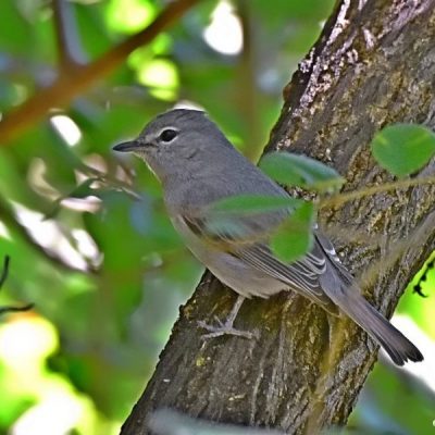 Caprivi House-boat Safari Lodge, 20 April 2016