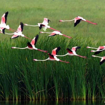 Marievale BS   Feb 2016