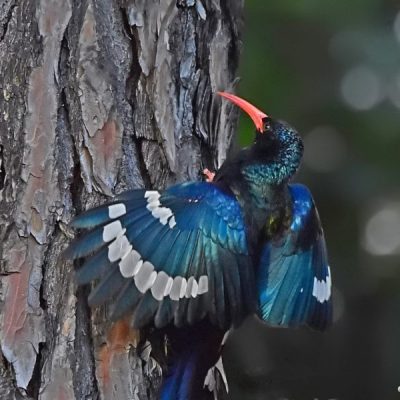 Fourways,   Sept 2016