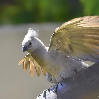 Fourways,  Aug  2016