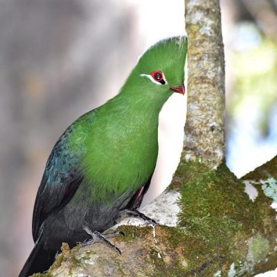 Natures Valley - Garden route, Oct 2016