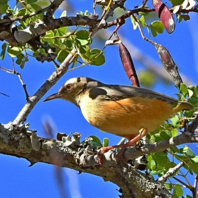 Southern Kruger National Park - June 2016