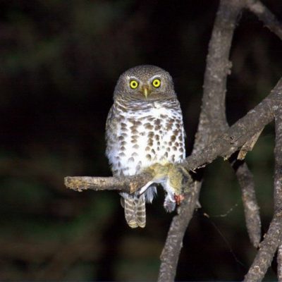 Harare Zimbabwe, July 2016