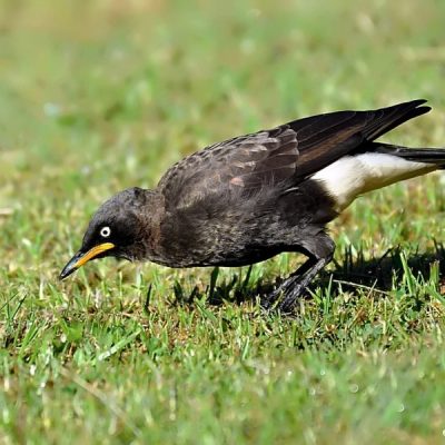 Golden Gate National Park, Free State Province, March 2014