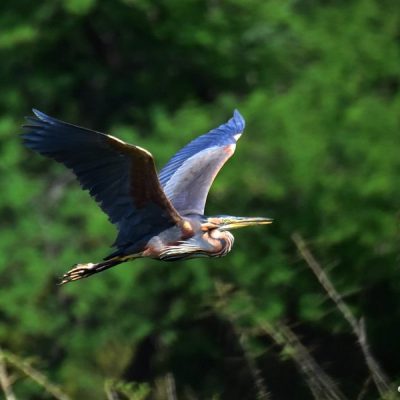 Norscott Slopes NR,  Oct 2016