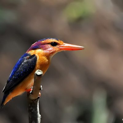 Tugela Mouth -  KwaZulu-Natal, Oct 2012