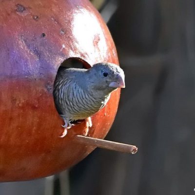 Fourways,  Sept 2016