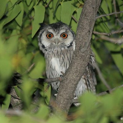 Namibia - April 2016