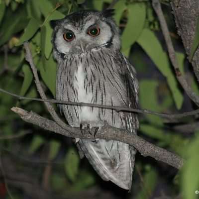 Namibia - April 2016