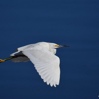 Black river, W Cape 18 June 2015