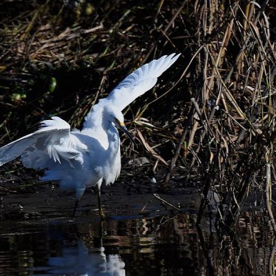 Black river, W Cape 18 June 2015