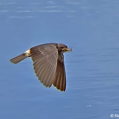 Geluksburg,  Kwazulu-Natal - Dec 2016