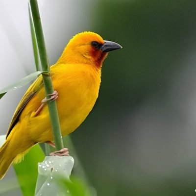 Tugela Mouth, KwaZulu Natal - October 2010