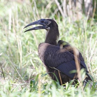 Harare, Zimbabwe, July 2016,