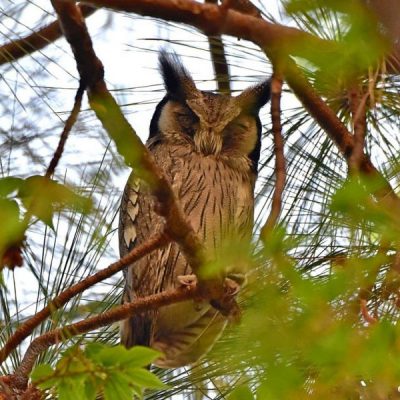 The Field & Study Centre in Sandton - September 2016