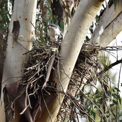 Avianto cCnference Center,  June 2017