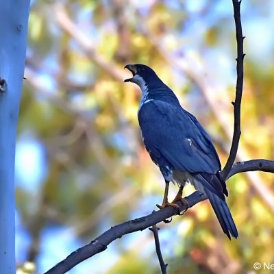 Avianto conference centre,  June 2017